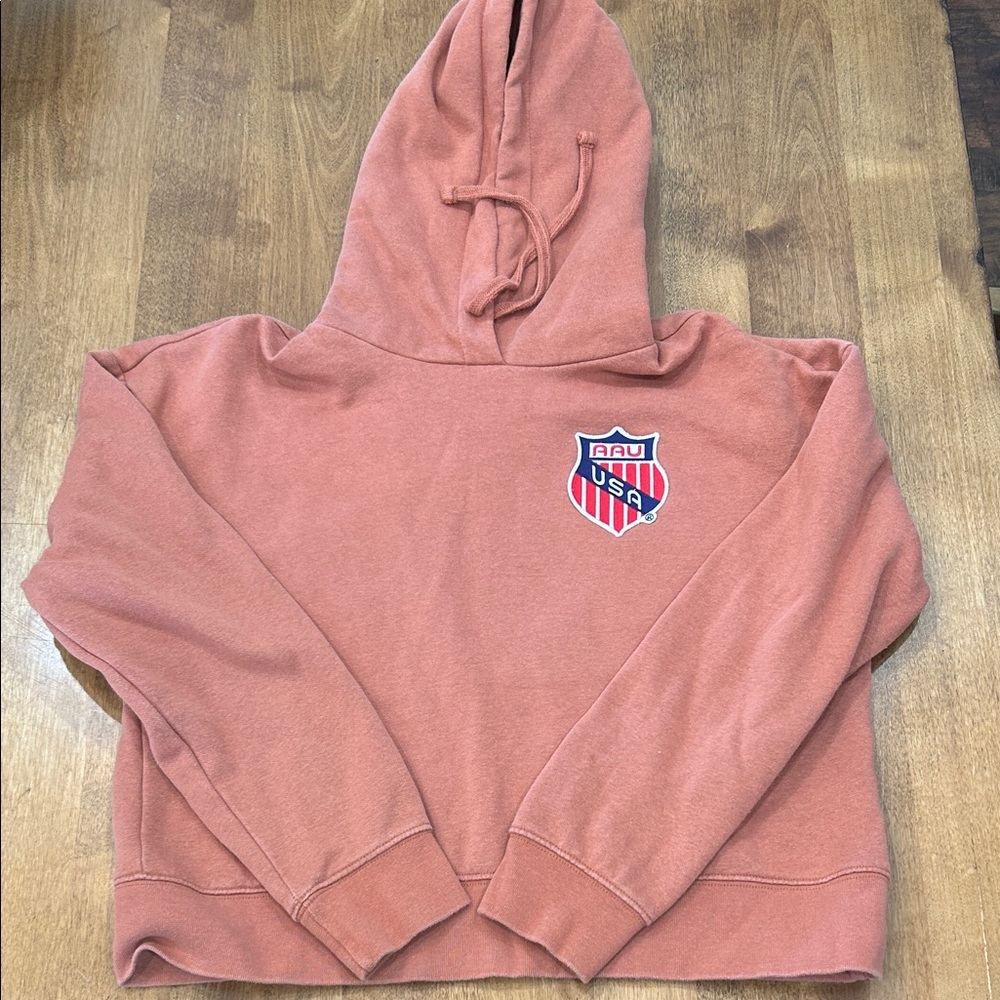 USA Logo Pink Hoodie